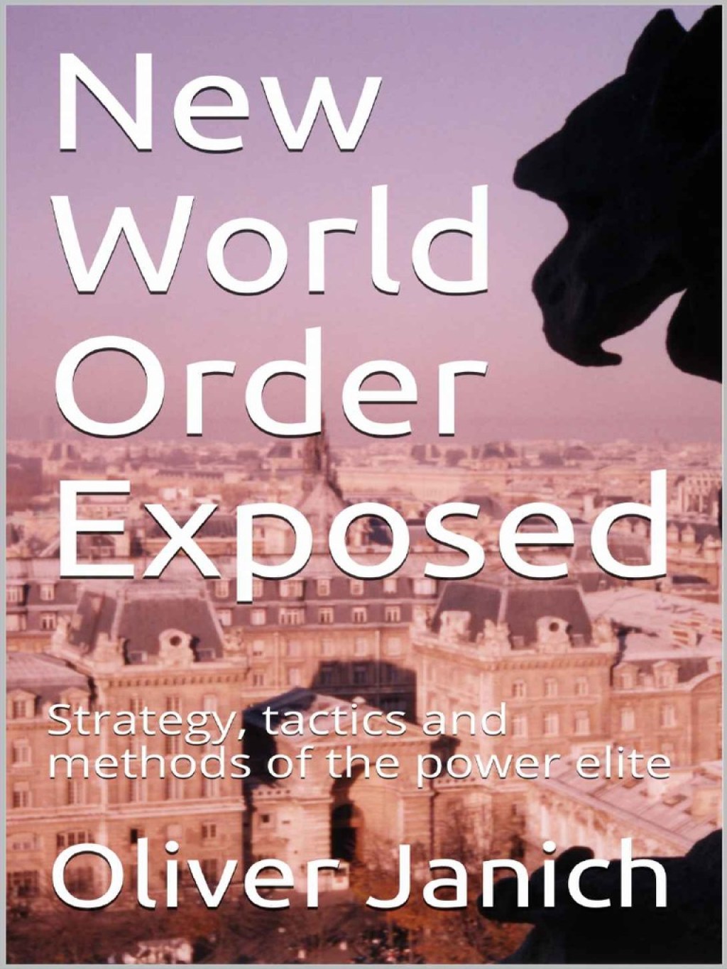 Picture of: New World Order Exposed Strate – Oliver Janich  PDF  Monopoly